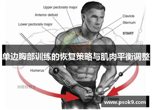 单边胸部训练的恢复策略与肌肉平衡调整