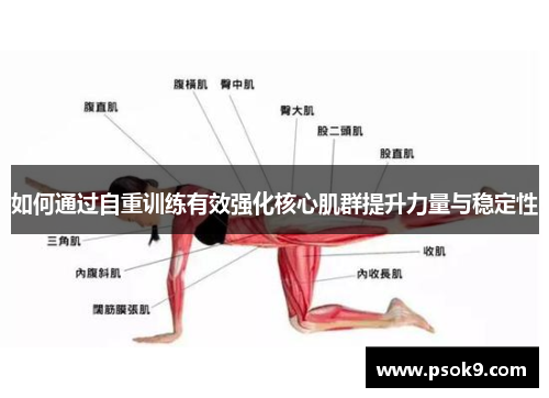 如何通过自重训练有效强化核心肌群提升力量与稳定性
